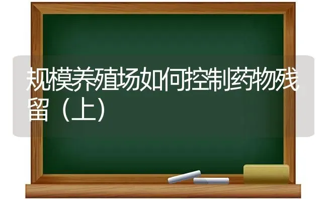 规模养殖场如何控制药物残留(上) | 养殖知识