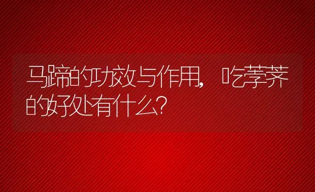 马蹄的功效与作用,吃荸荠的好处有什么？ | 养殖科普