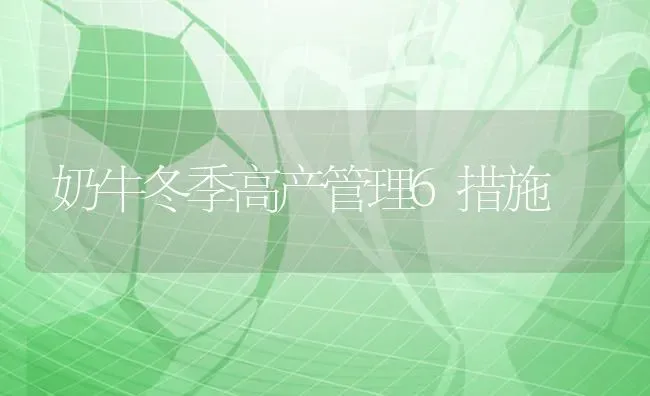 奶牛冬季高产管理6措施 | 养殖知识