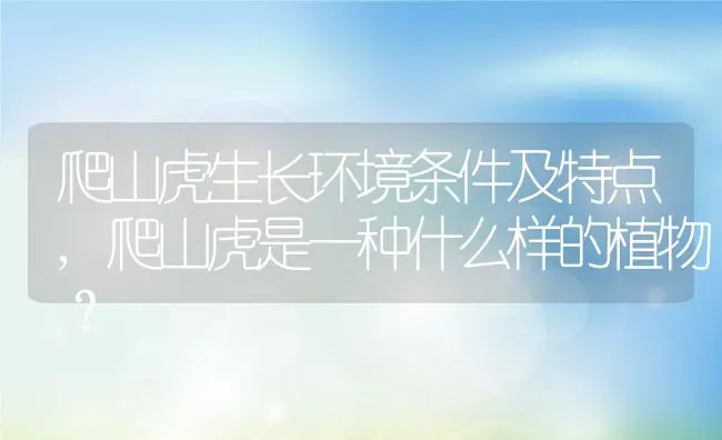 爬山虎生长环境条件及特点,爬山虎是一种什么样的植物？ | 养殖科普