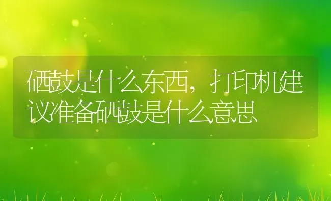 硒鼓是什么东西,打印机建议准备硒鼓是什么意思 | 养殖科普