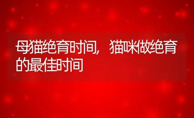 母猫绝育时间,猫咪做绝育的最佳时间 | 养殖资料