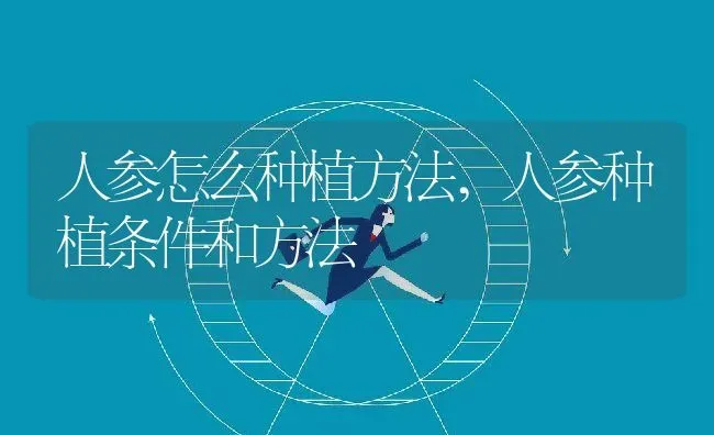 人参怎么种植方法,人参种植条件和方法 | 养殖学堂