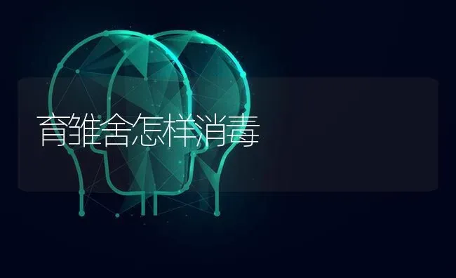 育雏舍怎样消毒 | 养殖知识