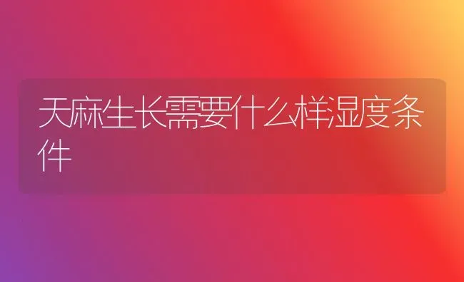 天麻生长需要什么样湿度条件 | 养殖知识