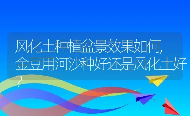 风化土种植盆景效果如何,金豆用河沙种好还是风化土好？ | 养殖科普