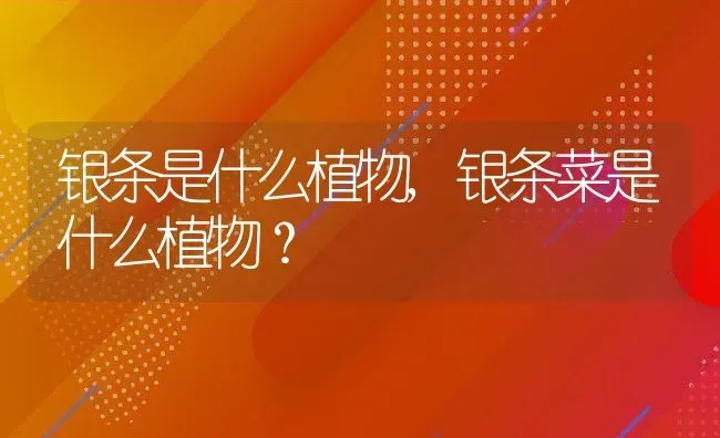 猫咪发抖是怎么回事,猫咪发抖是怎么回事缓解 | 养殖科普