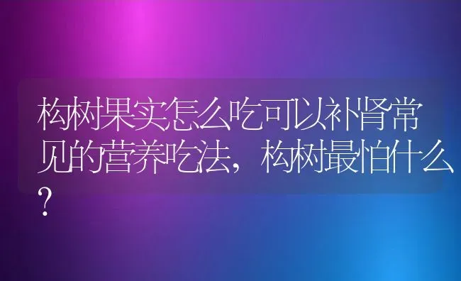 构树果实怎么吃可以补肾常见的营养吃法,构树最怕什么？ | 养殖科普