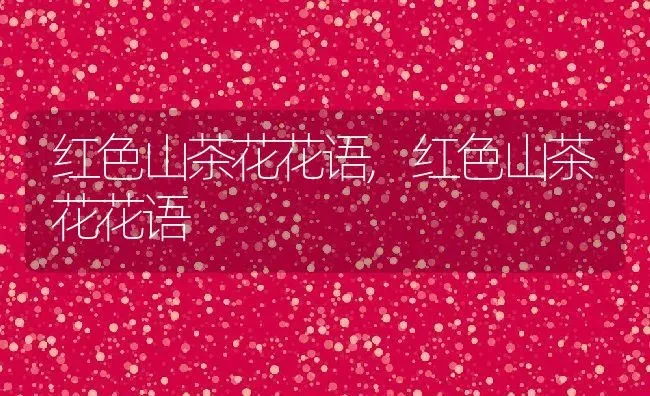 红色山茶花花语,红色山茶花花语 | 养殖科普