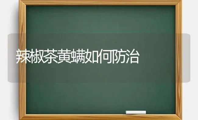 辣椒茶黄螨如何防治 | 养殖技术大全