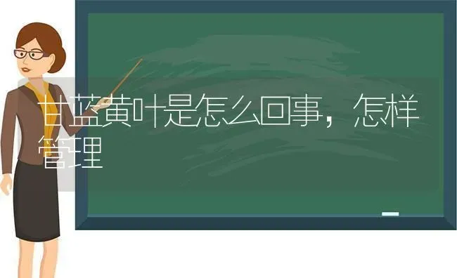 柑橘采收后 矢尖蚧防治要抓紧 | 养殖技术大全