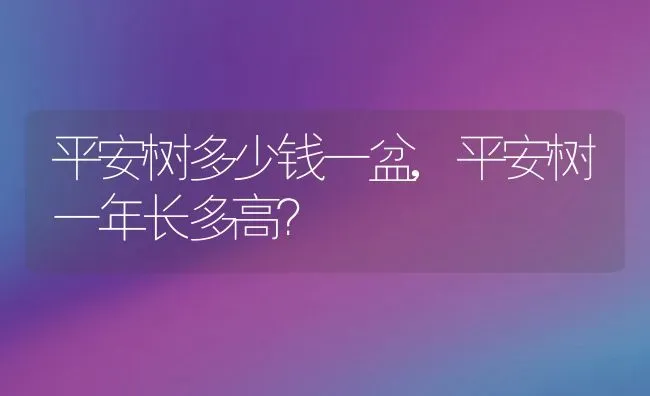 平安树多少钱一盆,平安树一年长多高？ | 养殖科普