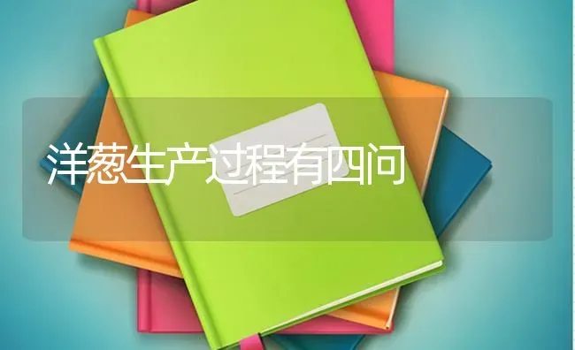 洋葱生产过程有四问 | 养殖技术大全