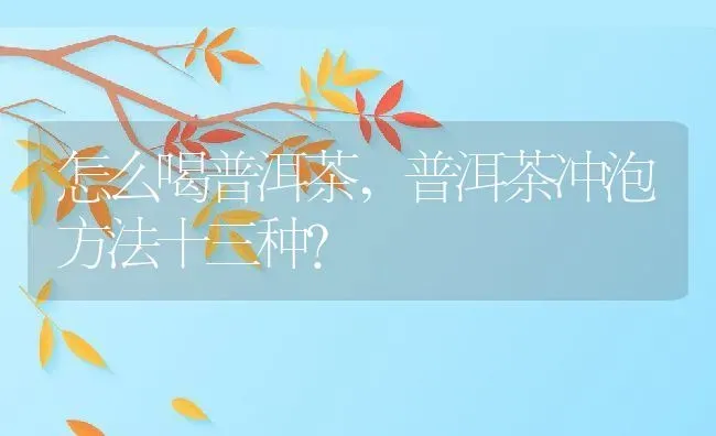 怎么喝普洱茶,普洱茶冲泡方法十三种？ | 养殖科普