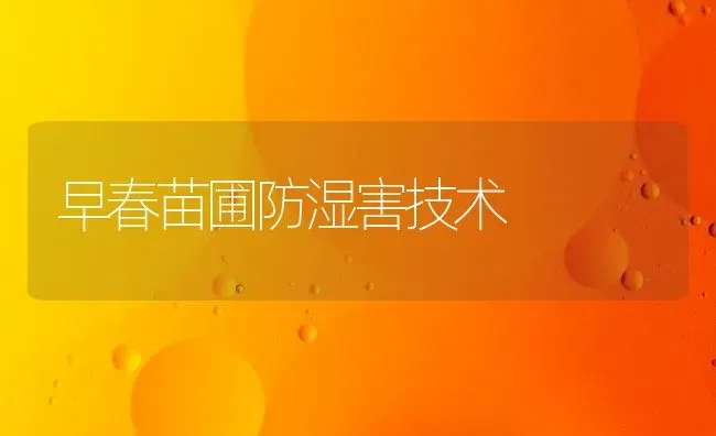 早春苗圃防湿害技术 | 养殖知识