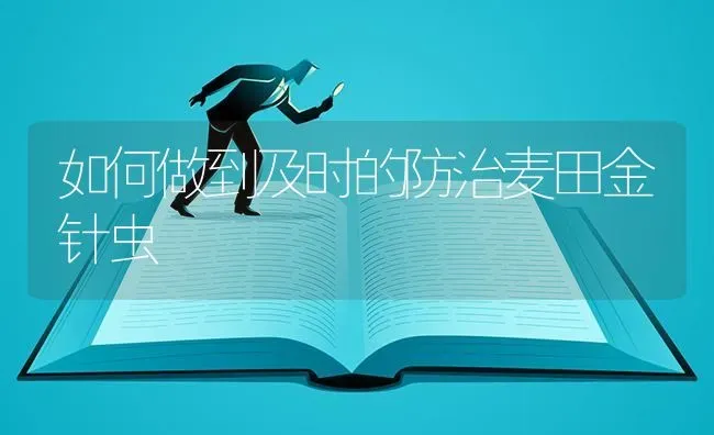 如何做到及时的防治麦田金针虫 | 养殖技术大全