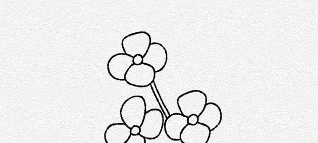 油菜花怎么画,油菜花简笔画彩色？
