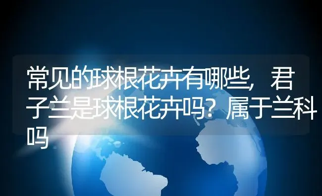 常见的球根花卉有哪些,君子兰是球根花卉吗？属于兰科吗 | 养殖学堂