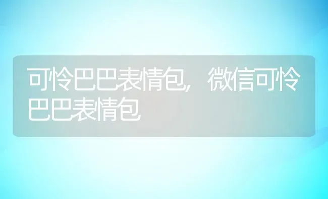 可怜巴巴表情包,微信可怜巴巴表情包 | 养殖资料