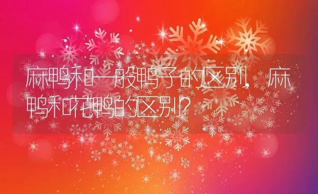 麻鸭和一般鸭子的区别,麻鸭和花鸭的区别？ | 养殖科普