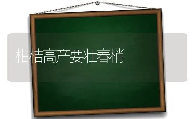 柑桔高产要壮春梢 | 养殖知识