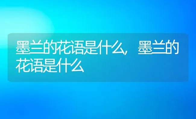 墨兰的花语是什么,墨兰的花语是什么 | 养殖科普