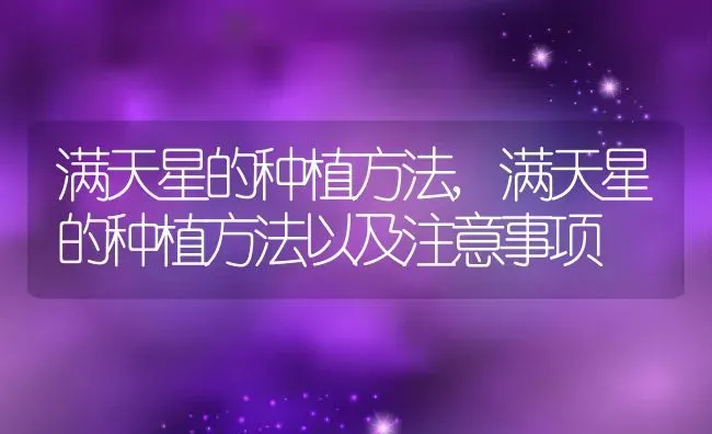 满天星的种植方法,满天星的种植方法以及注意事项 | 养殖科普