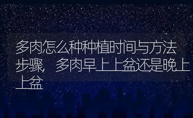 多肉怎么种种植时间与方法步骤,多肉早上上盆还是晚上上盆 | 养殖学堂