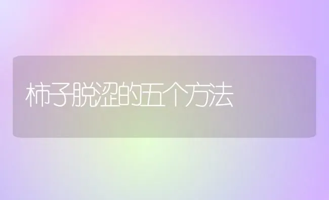 柿子脱涩的五个方法 | 养殖技术大全