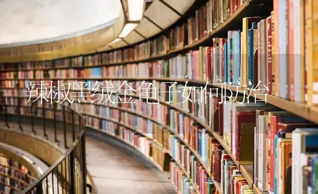 辣椒黑绒金龟子如何防治 | 养殖技术大全