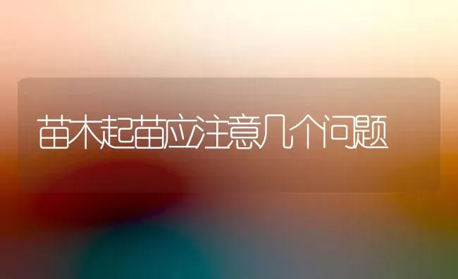 苗木起苗应注意几个问题 | 养殖知识