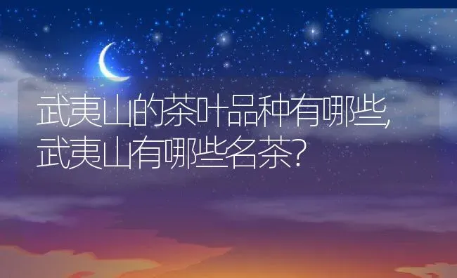 武夷山的茶叶品种有哪些,武夷山有哪些名茶？ | 养殖科普