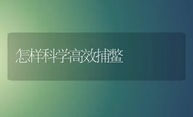 怎样科学高效捕鳖 | 养殖知识