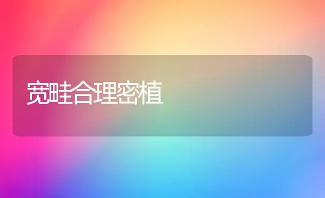 宽畦合理密植 | 养殖技术大全