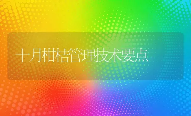 十月柑桔管理技术要点 | 养殖技术大全