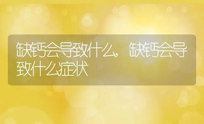 缺钙会导致什么,缺钙会导致什么症状 | 养殖科普