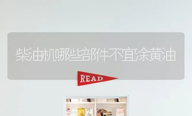 柴油机哪些部件不宜涂黄油 | 养殖知识