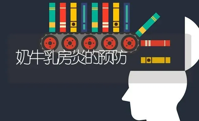 奶牛乳房炎的预防 | 养殖技术大全