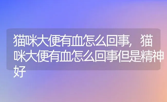 猫咪大便有血怎么回事,猫咪大便有血怎么回事但是精神好 | 养殖科普