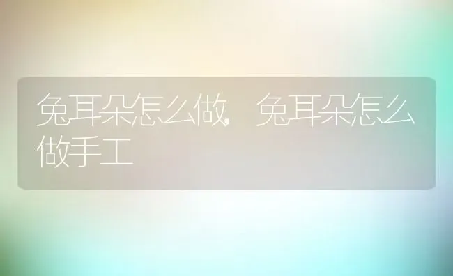 兔耳朵怎么做,兔耳朵怎么做手工 | 养殖科普