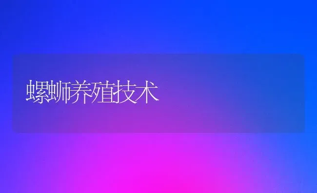 螺蛳养殖技术 | 养殖知识