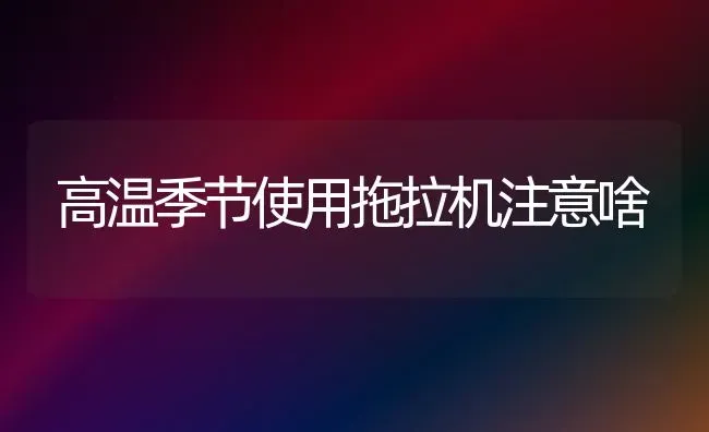 高温季节使用拖拉机注意啥 | 养殖技术大全