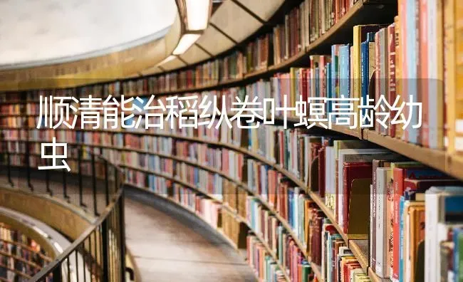 顺清能治稻纵卷叶螟高龄幼虫 | 养殖知识