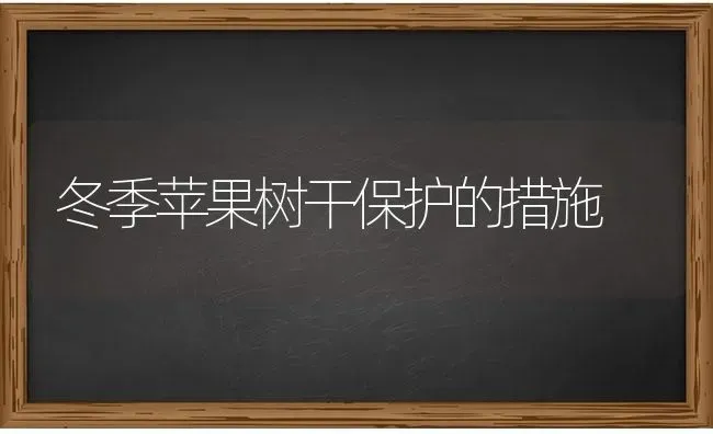 简易花卉土壤消毒的几种便利方法 | 养殖技术大全