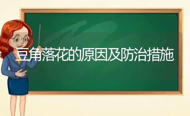 豆角落花的原因及防治措施 | 养殖技术大全