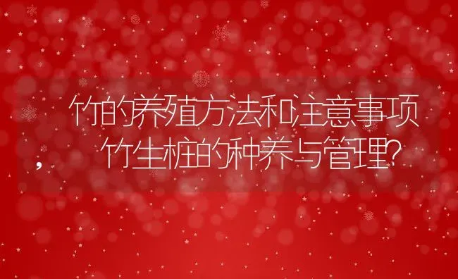 簕竹的养殖方法和注意事项,簕竹生桩的种养与管理？ | 养殖学堂