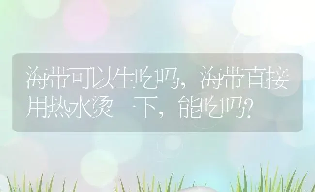 滴眼药水的正确方法,滴眼药水的正确方法视频 | 养殖科普