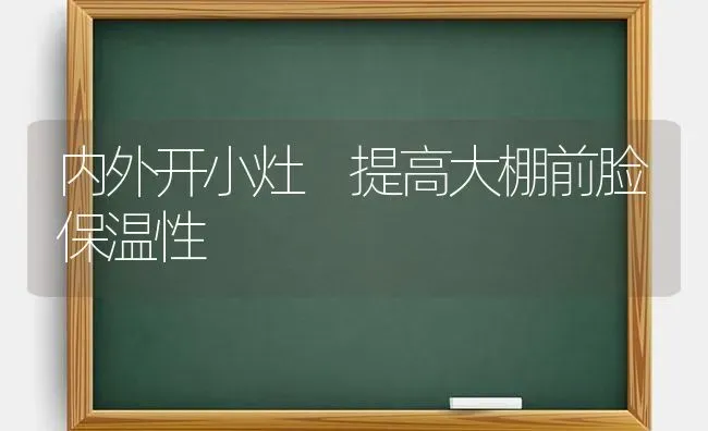 内外开小灶 提高大棚前脸保温性 | 养殖技术大全