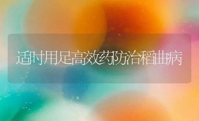 适时用足高效药防治稻曲病 | 养殖技术大全