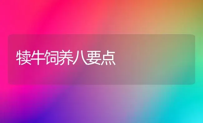 犊牛饲养八要点 | 养殖技术大全